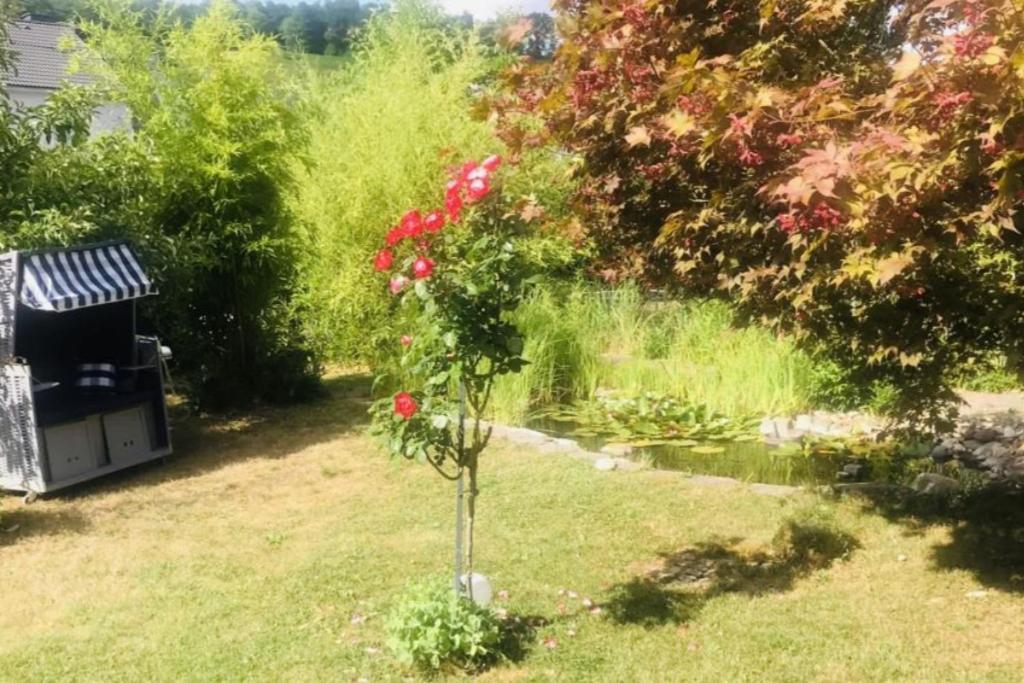 Modernes Ferienhaus Sauerblick Langsur 外观 照片